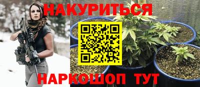 прущие крисы Краснознаменск