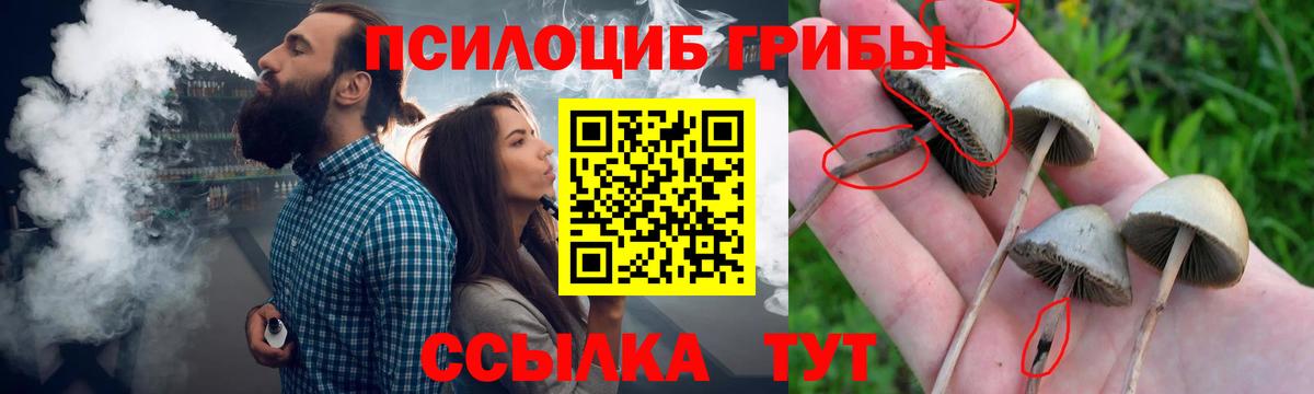 Железноводск  Галлюциногенные грибы мицелий  Галлюциногенные грибы Psilocybine cubensis  Вход с VPN 
