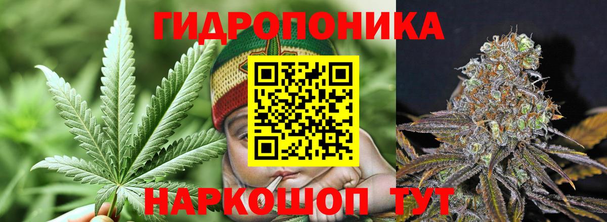 Каннабис White Widow  МАРИХУАНА SATIVA & INDICA  Вход с VPN  Марихуана Bruce Banner  Железноводск  Марихуана OG Kush 